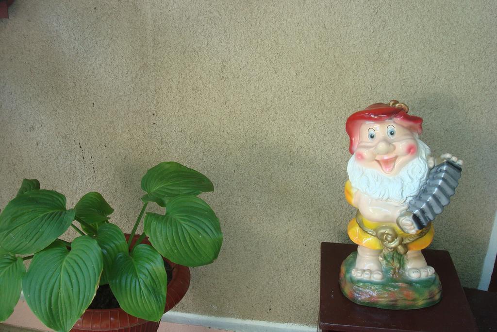 Usadba Chayka Hotel Kurortne  Ngoại thất bức ảnh